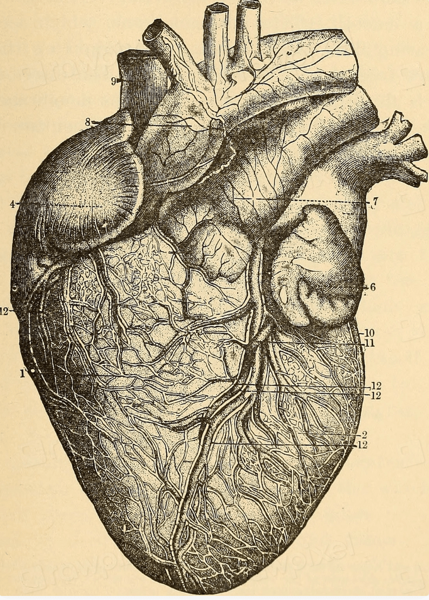 3rd Place Poem:&nbsp;Examined