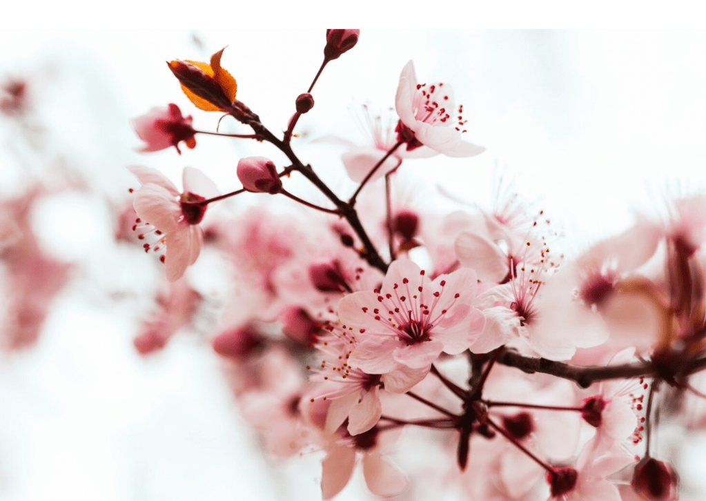 Poem: April’s Cafe